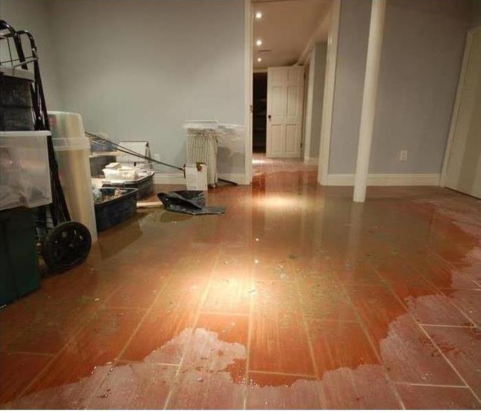 SERVPRO of South Orlando is ready to serve you! Image of water-soaked floor.